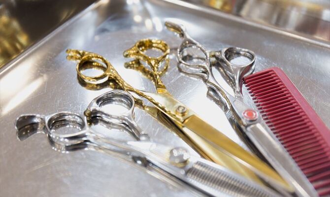 AdobeStock_131697184_R