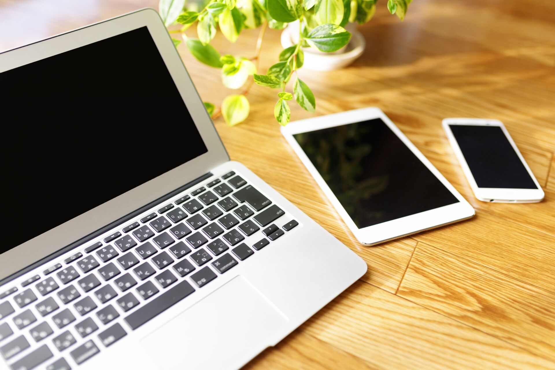 a253f69dd305b9946dd6fc2a578cb5e7_m