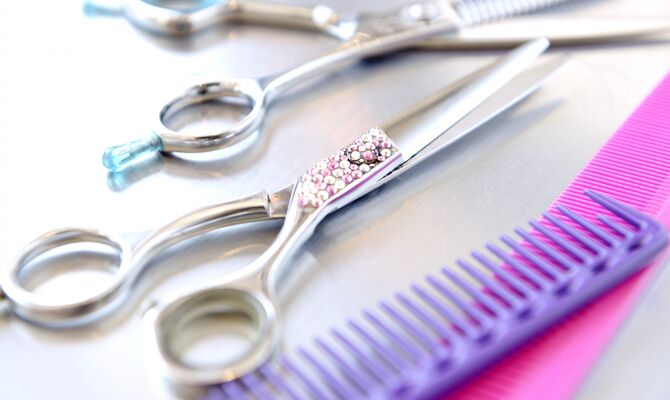 3b720a8681a5c4146742fe728b94c113_m